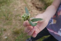 Tikšanās ar bērniem ar īpašām vajadzībām un viņu ģimenēm Gančauskas 2017