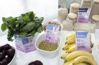 Grūtnieču Soļojums-2013