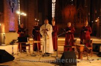 Tu Neesi Viens 2013