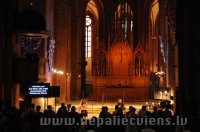 Tu Neesi Viens 2013